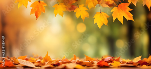 autumn leaves banner background with Bokeh