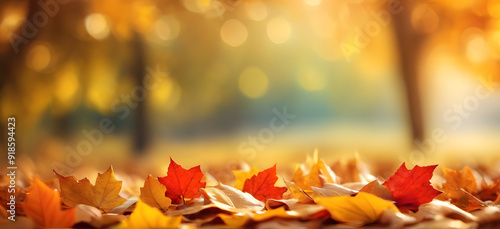 autumn leaves banner background with Bokeh
