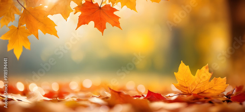 autumn leaves banner background with Bokeh