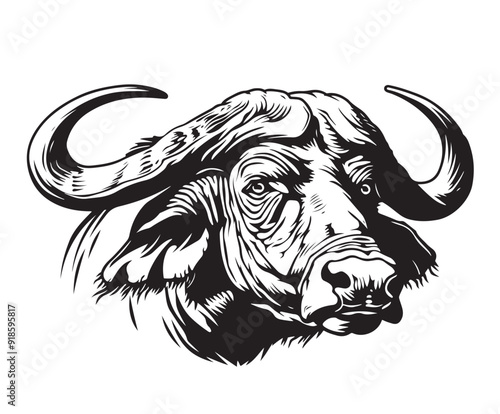 African buffalo. Hand drawn vector sketch illustration. Black outline on white background