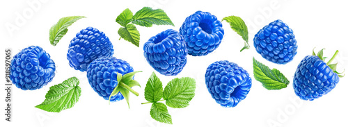 Flying juicy ripe blue raspberries with leaves isolated on a transparent background.