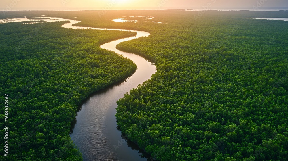 A winding river flows through a dense green forest, sunlight reflecting on the water. A winding river flows through a dense green forest, sunlight reflecting on the water.