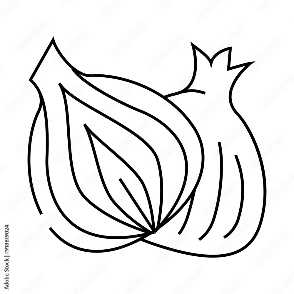 onion cut line icon vector. onion cut sign. isolated contour symbol black illustration onion cut line icon vector. onion cut sign. isolated contour symbol black illustration