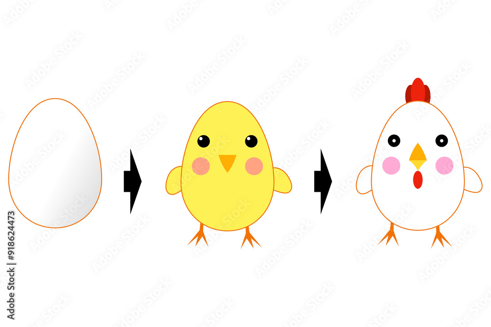卵の孵化 卵の孵化