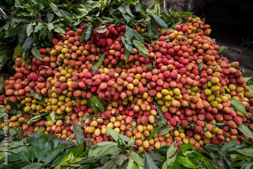 Ripe lychees, ready for sale at the market. Vibrant colors and juicy sweetness of this tropical delight, straight from the orchard to your table. Lychee, Litchi, Lichee, fruit