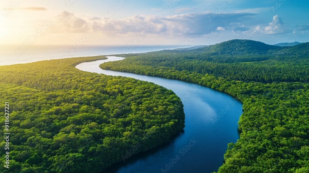 Aerial view of a winding river through lush green forest with blue water and a coastline in the distance. Aerial view of a winding river through lush green forest with blue water and a coastline in the distance.