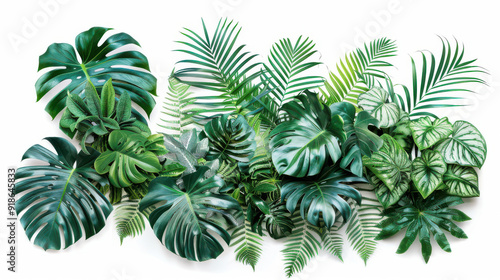 Lush green tropical plants collection with monstera, palm, rubber plant, pine, and fern, cut out