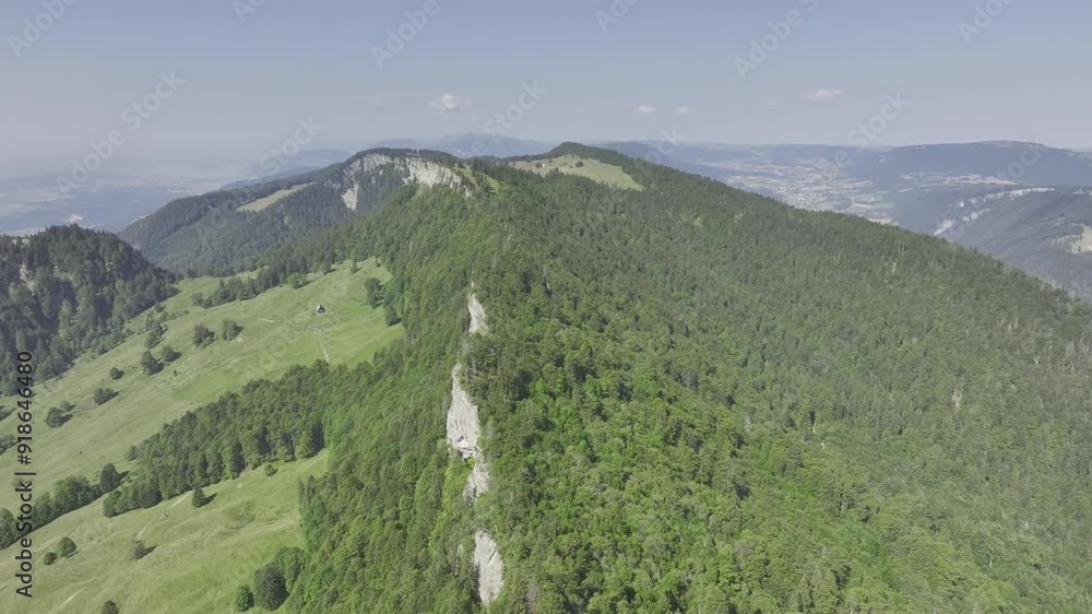 Drone flight, summer on the first Jura chain with Tiergarten rock formation, Solothurn, Switzerland, Europe Drone flight, summer on the first Jura chain with Tiergarten rock formation, Solothurn, Switzerland, Europe