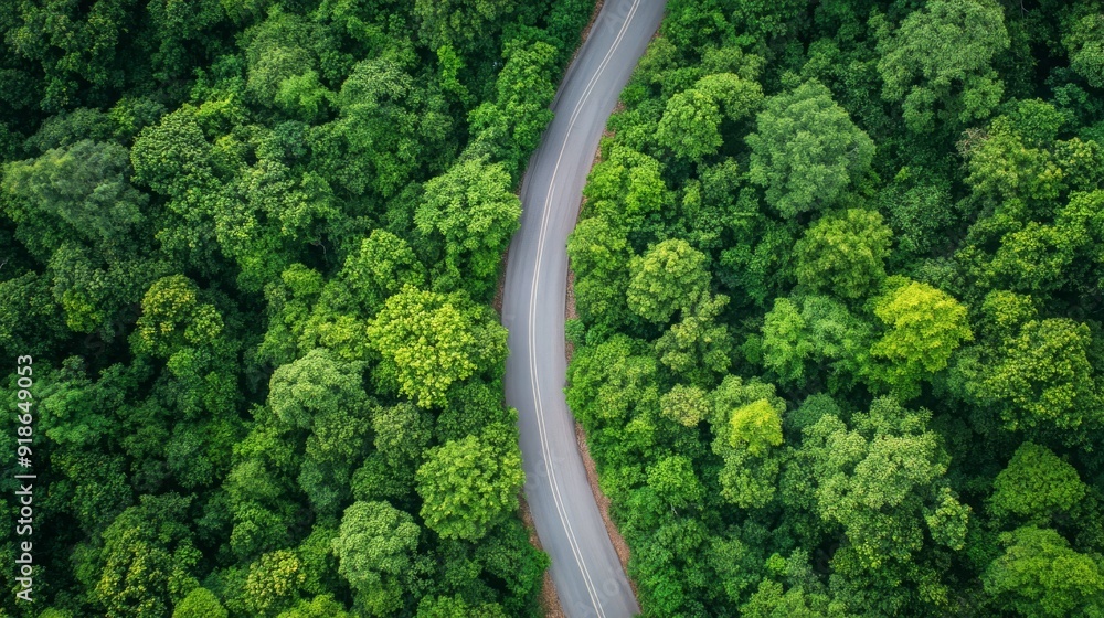 An aerial view of a winding road cutting through a dense green forest.