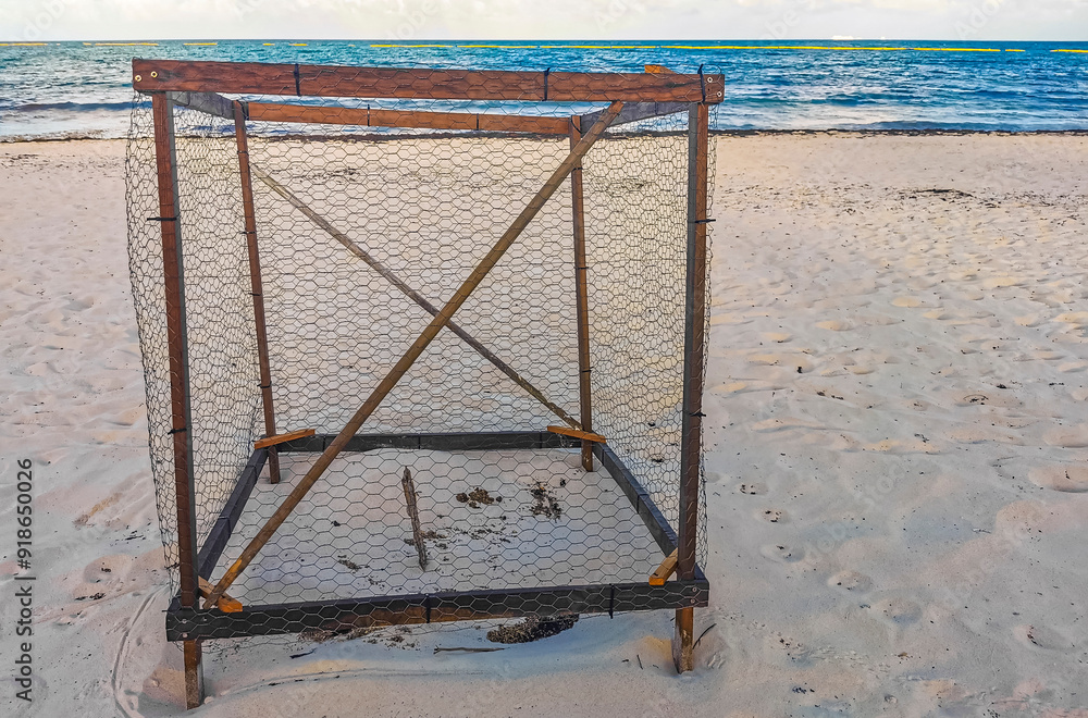 Sea turtle nests in cages protected on the beach Mexico. Sea turtle nests in cages protected on the beach Mexico.