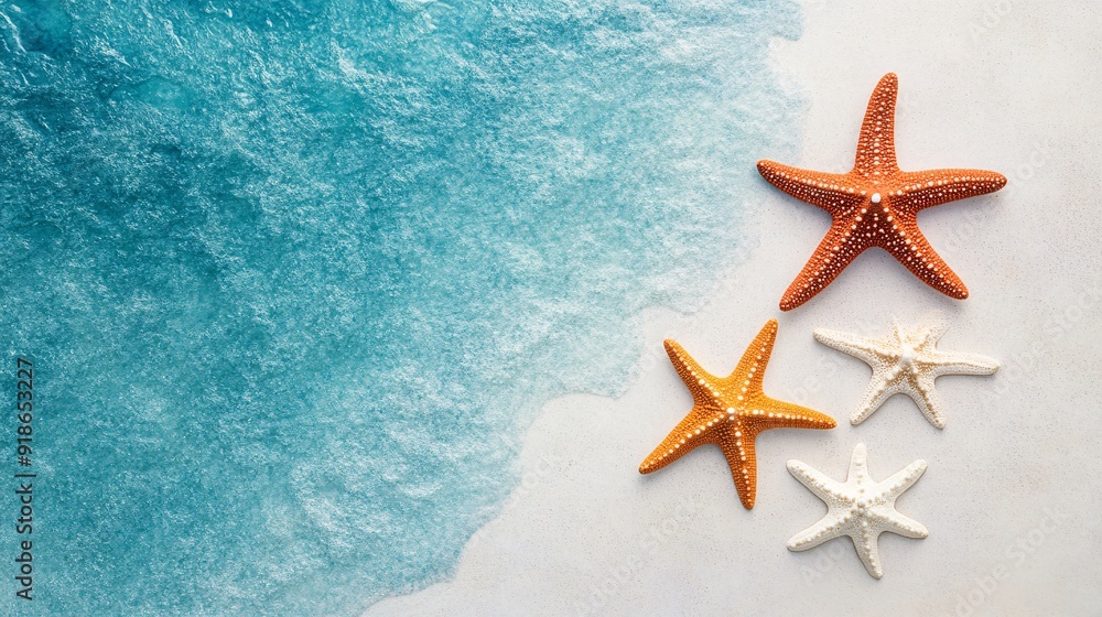 Starfish on Sandy Beach with Ocean Water Starfish on Sandy Beach with Ocean Water
