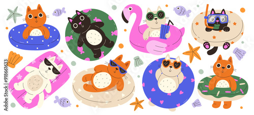 Cute summer cats in inflatable swimming rings floating inside pool enjoying vacation time on resort