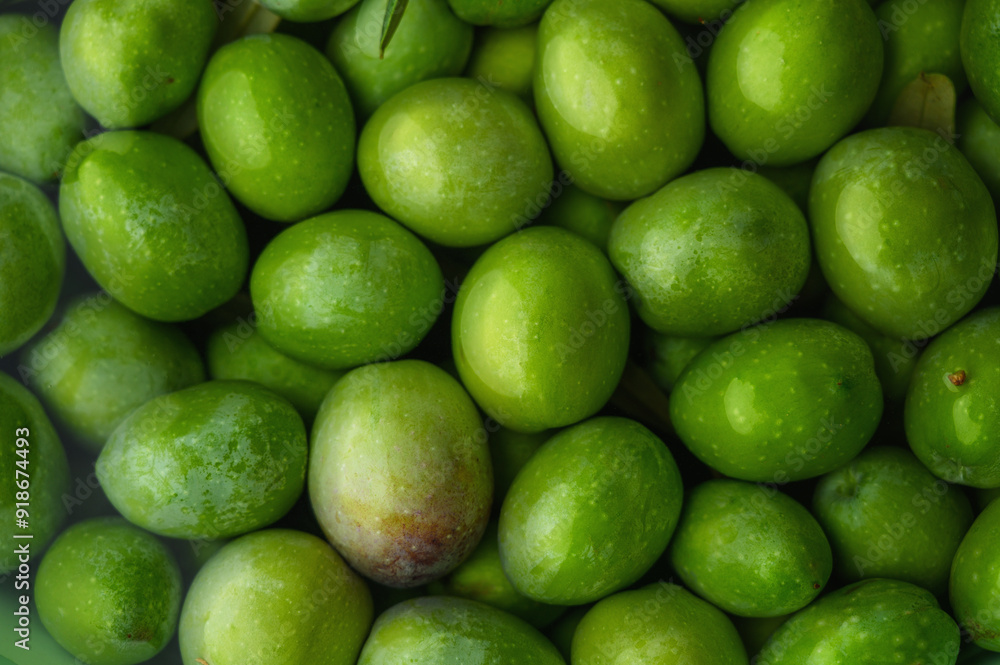 A pile of fresh green olives in close-up,texture of green olives background. A pile of fresh green olives in close-up,texture of green olives background.