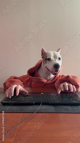 A dog is typing on a keyboard at a desk.
