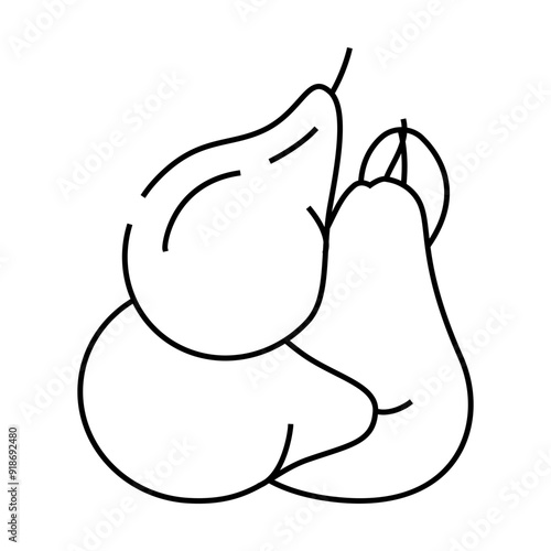 pear bunch whole line icon vector. pear bunch whole sign. isolated contour symbol black illustration
