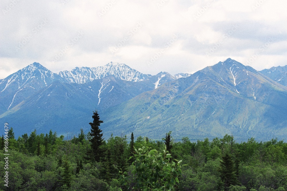 Obraz premium Scenic Alaskan Mountain Range