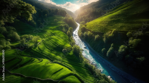 Woven Light and Verdure: Nature's Undulating Tapestry