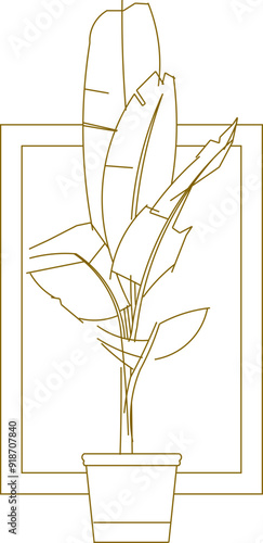 Vector sketch illustration silhouette design detail floral interior decoration plant in pot in box frame