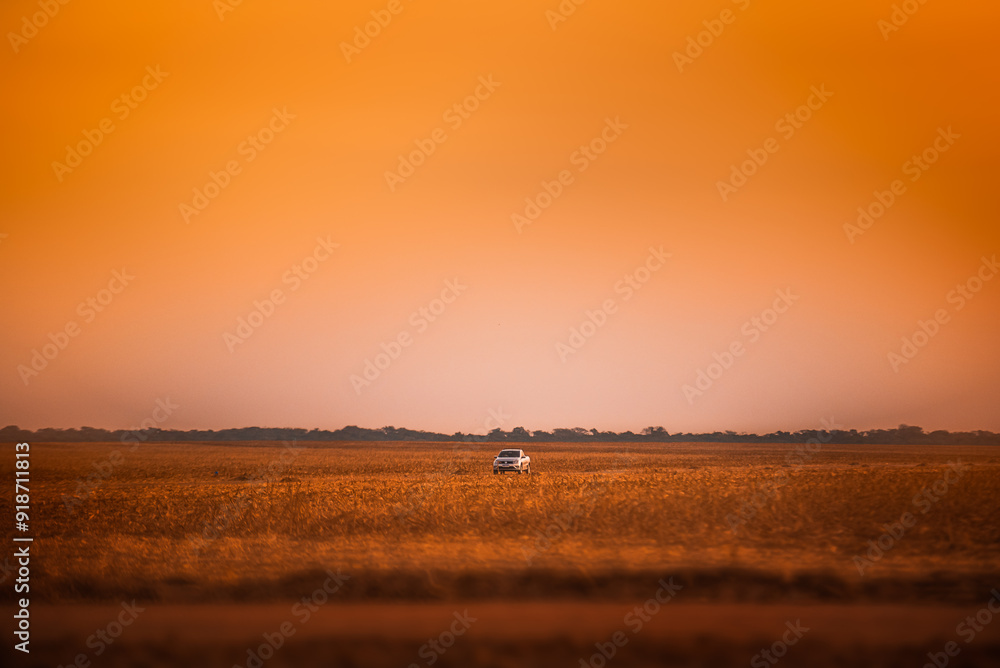 Φωτογραφία Camionete no meio de plantação de milho no por do sol no estado do mato grosso n