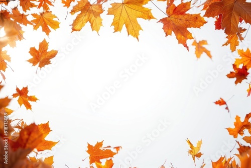 A serene scene with sunlight shining through the leaves of a tree