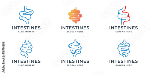 Human stomach medical structure icon set. simple line art stomach Vector logotype illustration on white background.