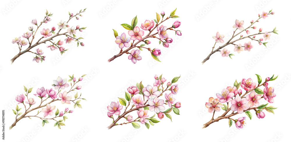 Fototapeta premium Beautiful Spring Flower Branch Graphic on Transparent PNG Background