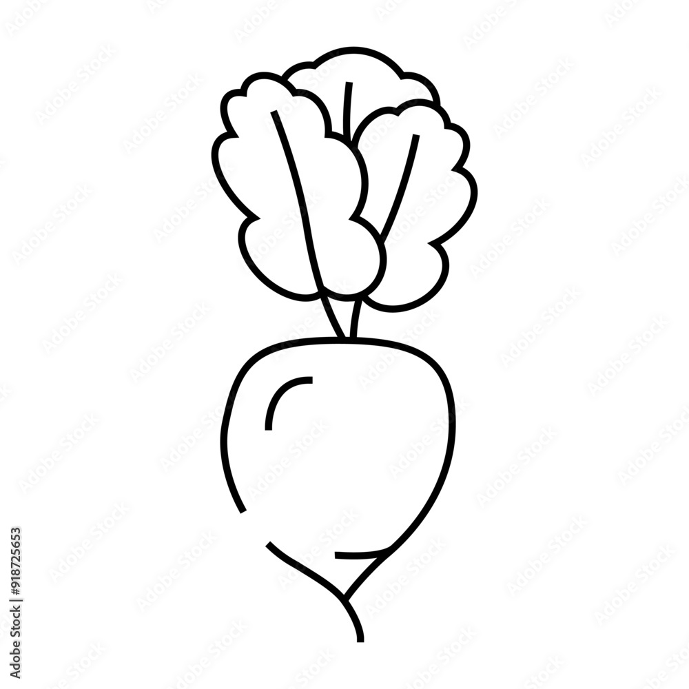 radish ripe line icon vector. radish ripe sign. isolated contour symbol black illustration radish ripe line icon vector. radish ripe sign. isolated contour symbol black illustration