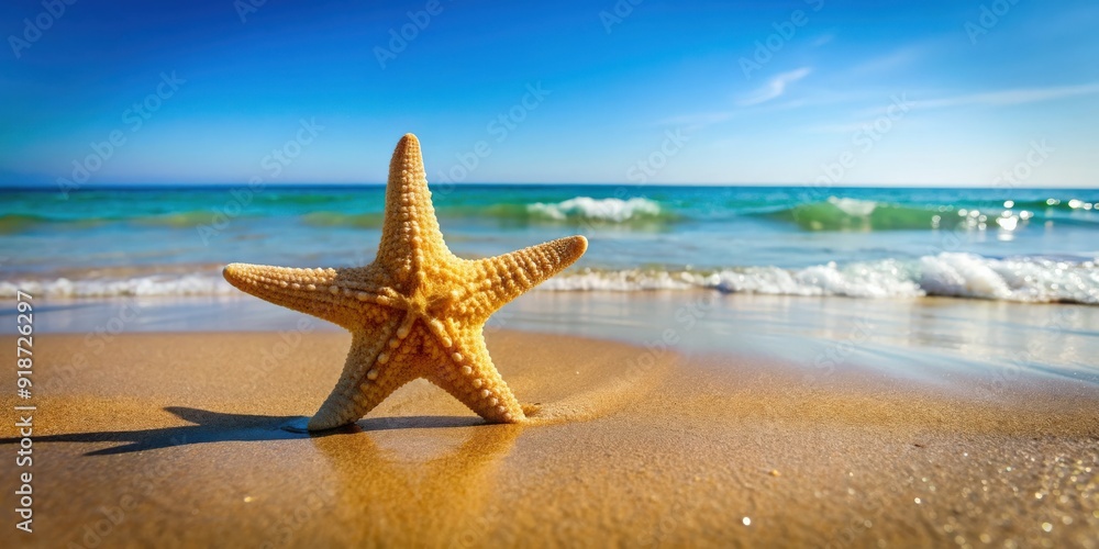 Relaxing summer break at the beach with a starfish , vacation, relaxation, coastal, ocean, sand, travel, tropical, leisure, sunny Relaxing summer break at the beach with a starfish , vacation, relaxation, coastal, ocean, sand, travel, tropical, leisure, sunny