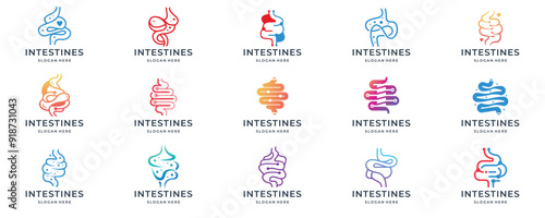 set of geometry healthy intestine vector for health and doctor logo collection.