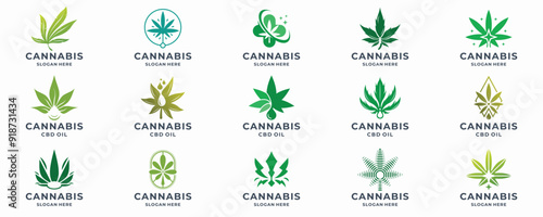 cannabis marijuana logo templates,design elements and logotype Medical cannabis.