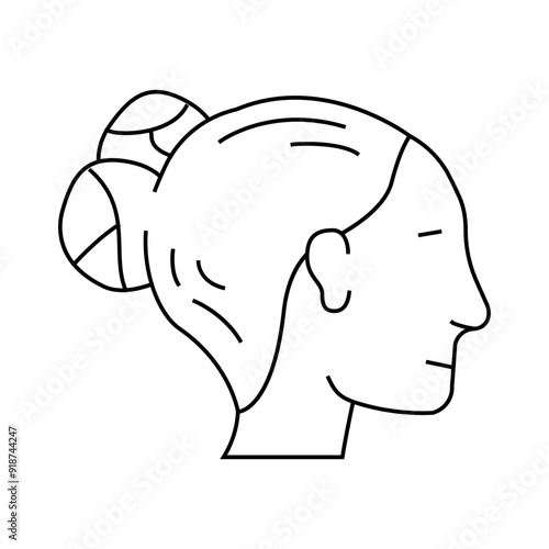 double buns hairstyle female line icon vector. double buns hairstyle female sign. isolated contour symbol black illustration