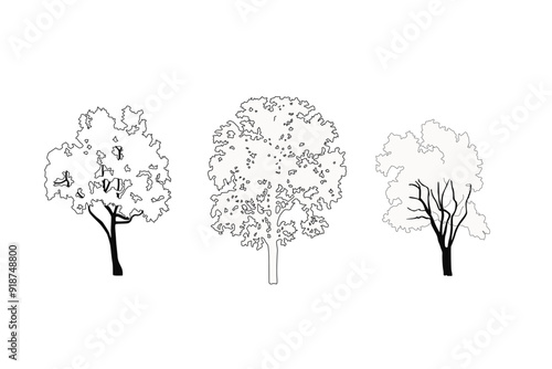 Tree line work illustrator drawing 2