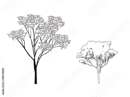 Tree line work illustrator drawing