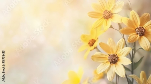 cheerful yellow daisies border on soft pastel background springinspired banner design photo