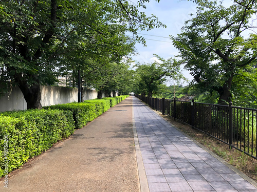 pedestrian road/path in the park surrounded by trees beside a river on a bright summer day - Nagoya, Aichi, Japan photo