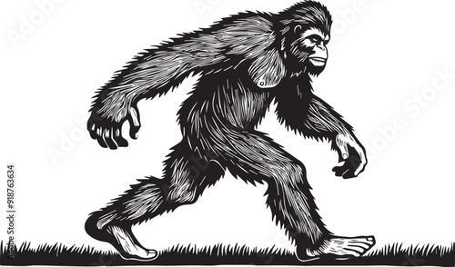 Gorila silhouette vector illustration
