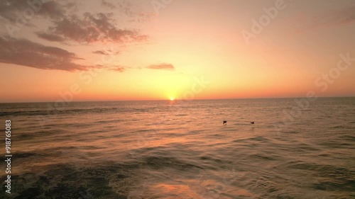 Video 4k genial de drone volando sobre el mar anaranjado por el atardecer y pelicanos en la escena