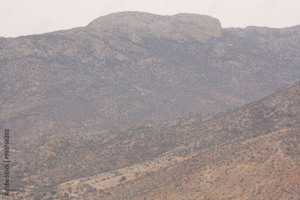 A beautiful view of mountains covered with argan trees