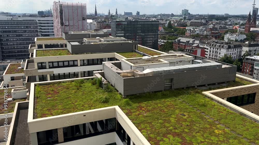 Tilt up aerial of green rooftop houses and blocks in Hamburg City during sunny day. Historic buildings and churches in town. Wide shot. Germany, Europe. Green vegetation theme. Tilt up aerial of green rooftop houses and blocks in Hamburg City during sunny day. Historic buildings and churches in town. Wide shot. Germany, Europe. Green vegetation theme.