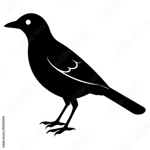 vector hand-drawn myna silhouette black vector illustration