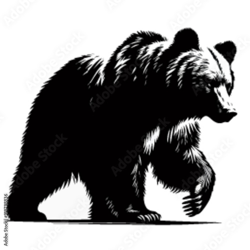 Eurasian brown bear silhouette, bear silhouette
