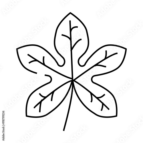 fatsia japonica tropical leaf line icon vector. fatsia japonica tropical leaf sign. isolated contour symbol black illustration