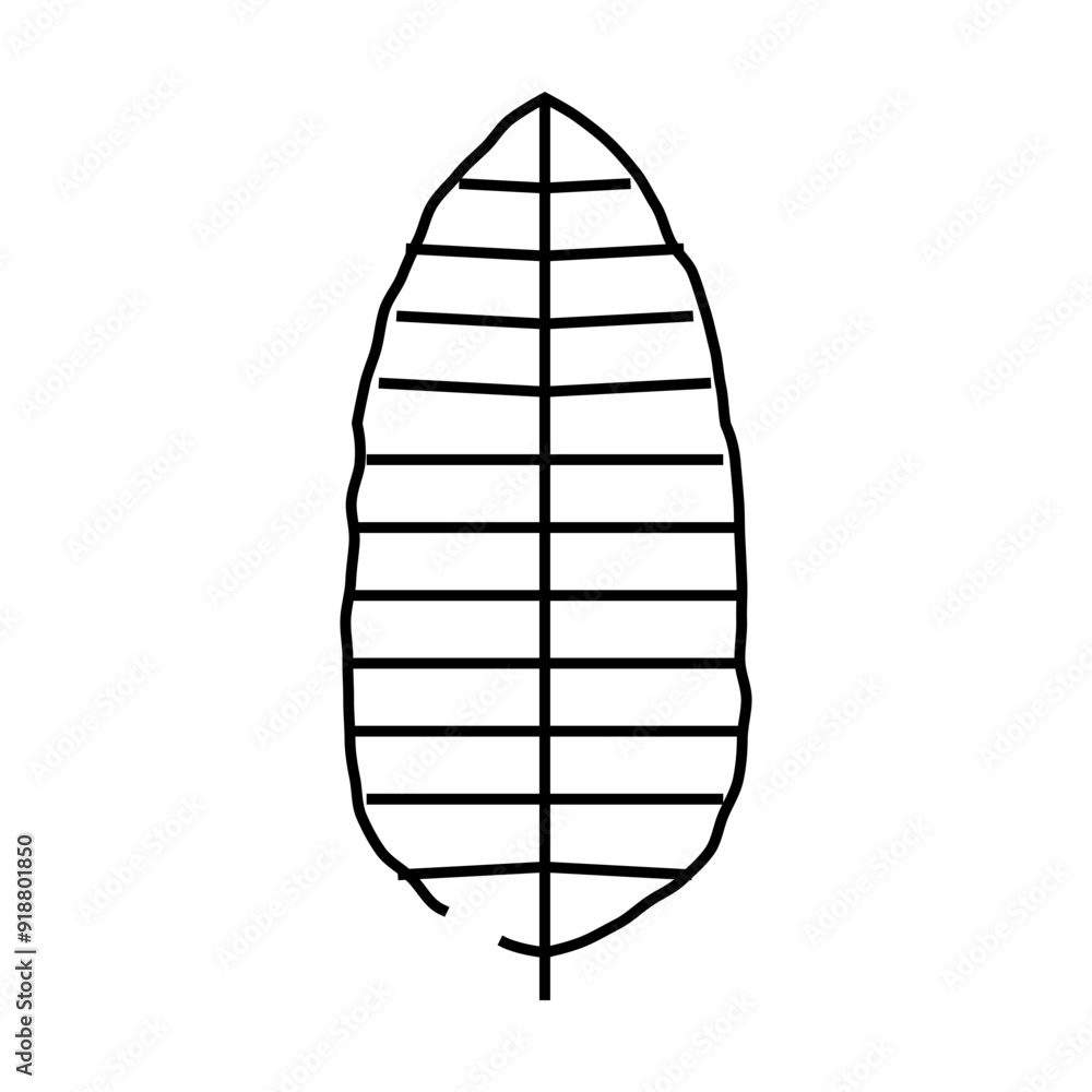 Obraz premium banana tropical leaf line icon vector. banana tropical leaf sign. isolated contour symbol black illustration
