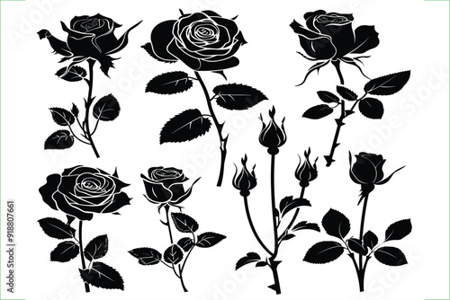 rose flower set silhouette vector illustration. Rose flowers Collection. Flowers icons. Set of rose flowers icon line art vector illustration - Generative AI.