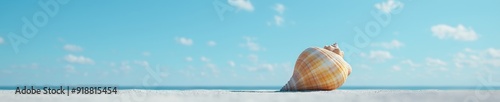 Serene Morning Beach Scene with Single Seashell on Sand, Expansive Copy Space for Creative Use photo