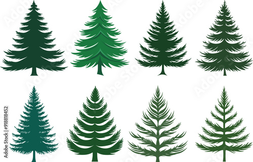 Vector Set of Balsam Fir Tree Designs. Cute Cartoon Tree Icons and Logos on White Background