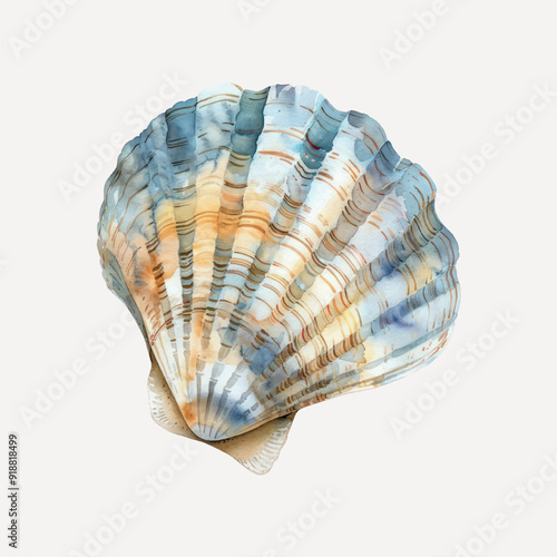 Colorful seashell beach decoration