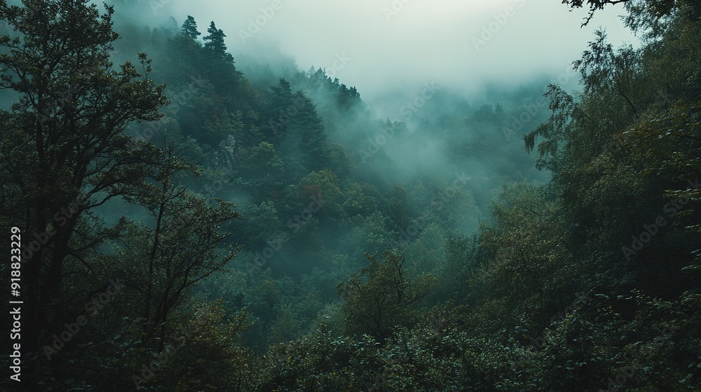 Dense Fog Enveloping a Lush Forest Landscape Dense Fog Enveloping a Lush Forest Landscape