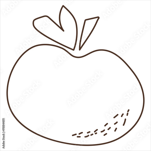 Orange fruits. Vector coloring food in cartoon hand-drawing style