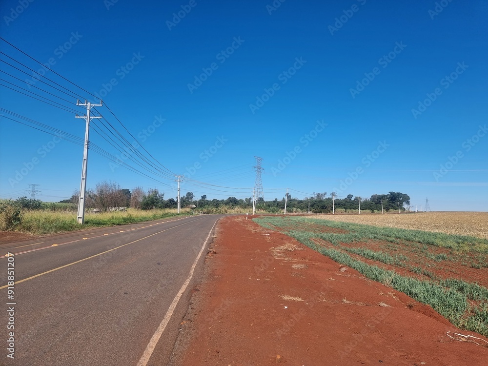 Fototapeta premium Rural road lined with power lines and farmland during a clear day in a tranquil countryside setting